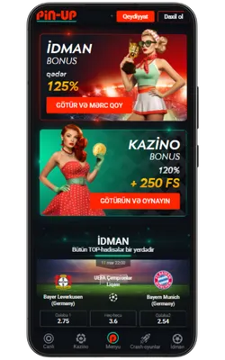 Pin up indir android